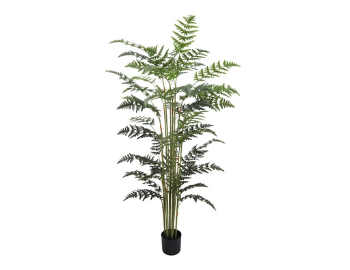 [JVE0189] Fern Tree 180 cm (with pot) UV