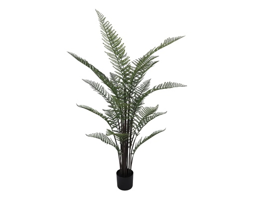 [JVE0194] Persian Fern plant 150 cm (with pot) UV+FR