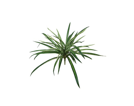 [JVE0197] Grass Spider ⌀ 40 cm UV+IFR
