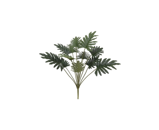 [JVE0205] Philodendron Selloum 70 cm UV+IFR