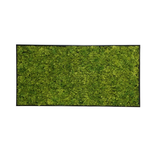 [JVMD003-100M] Moss Painting 50x100 cm - Emerald Green | Moss